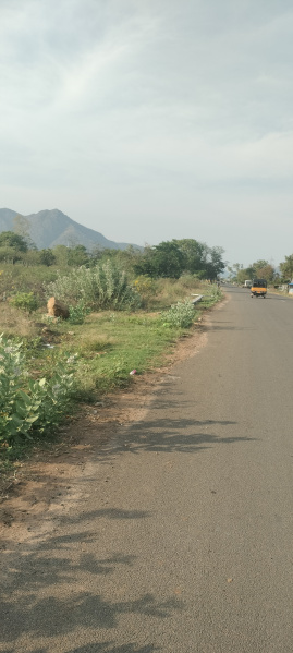  9 Acre Agricultural/Farm Land for Sale in Andipatti Jakkampatti, Theni