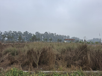  Residential Plot for Sale in Deva Road, Lucknow