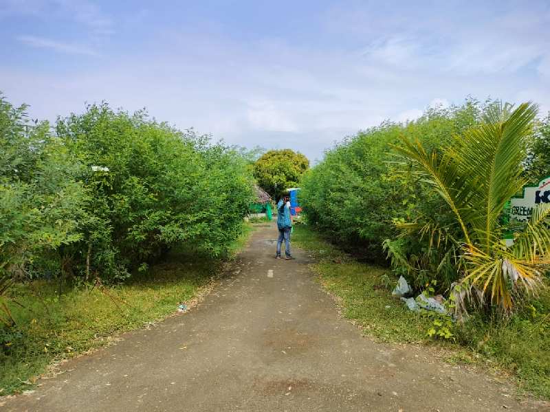 Agricultural Land 10000 Sq.ft. for Sale in Acharapakkam, Chengalpattu