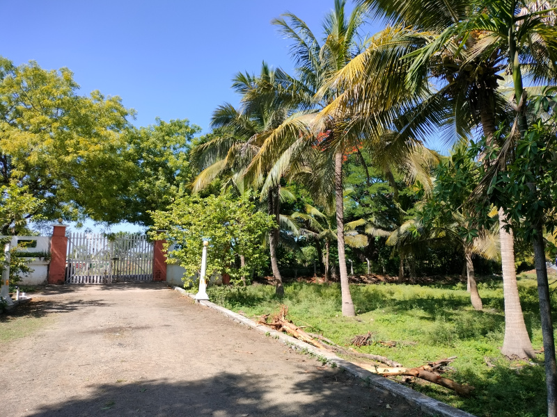 Agricultural Land 9980 Sq.ft. for Sale in Tindivanam, Chennai (REI1139469)