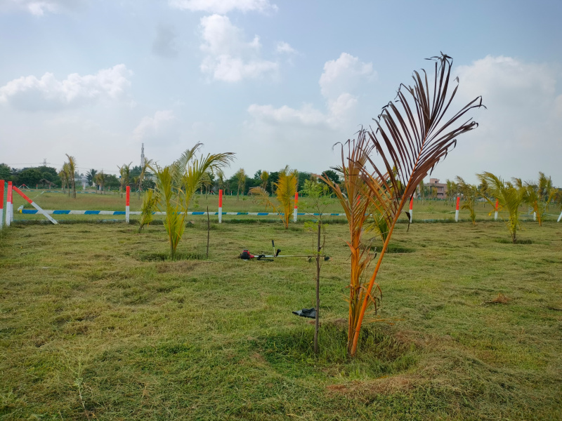  Residential Plot 9600 Sq.ft. for Sale in Madurantakam, Chennai