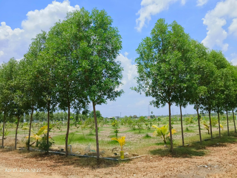  Agricultural Land 9600 Sq.ft. for Sale in Uthramerur, Chennai
