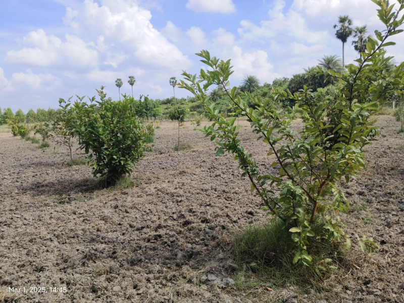  9950 Sq.ft. Agricultural/Farm Land for Sale in Melmaruvathur, Chennai