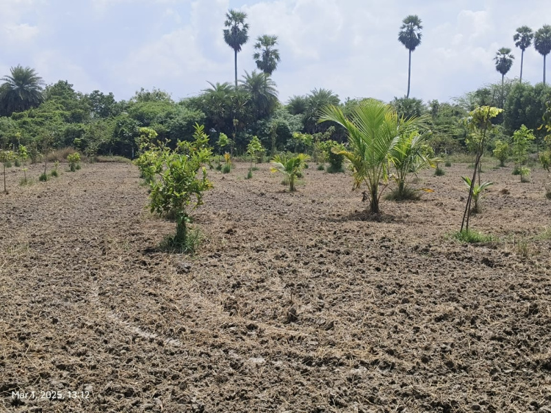  10000 Sq.ft. Agricultural/Farm Land for Sale in Uthandi, Chennai