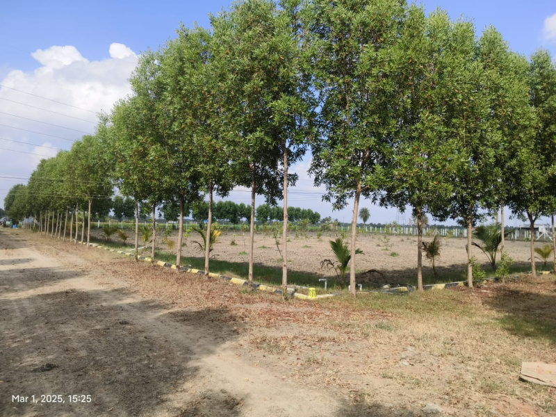  9855 Sq.ft. Agricultural/Farm Land for Sale in Chengalpet, Chennai