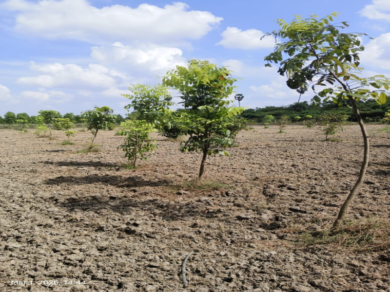  9605 Sq.ft. Agricultural/Farm Land for Sale in Melmaruvathur, Chennai