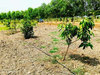  Agricultural Land for Sale in Melmaruvathur, Chennai
