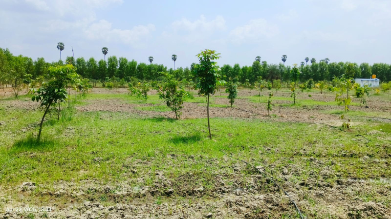  9619 Sq.ft. Agricultural/Farm Land for Sale in Madhurandagam, Chennai