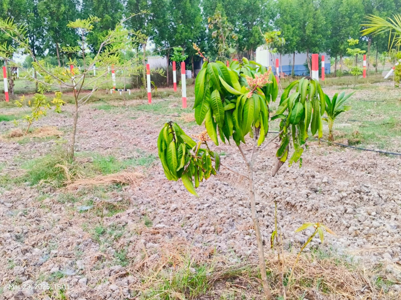  9620 Sq.ft. Agricultural/Farm Land for Sale in Chengalpet, Chennai