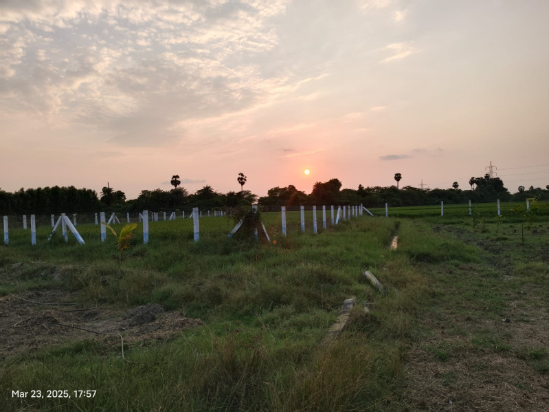  9630 Sq.ft. Agricultural/Farm Land for Sale in Chengalpet, Chennai