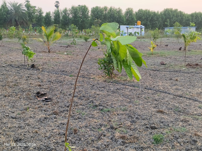  9637 Sq.ft. Residential Plot for Sale in Chengalpet, Chennai