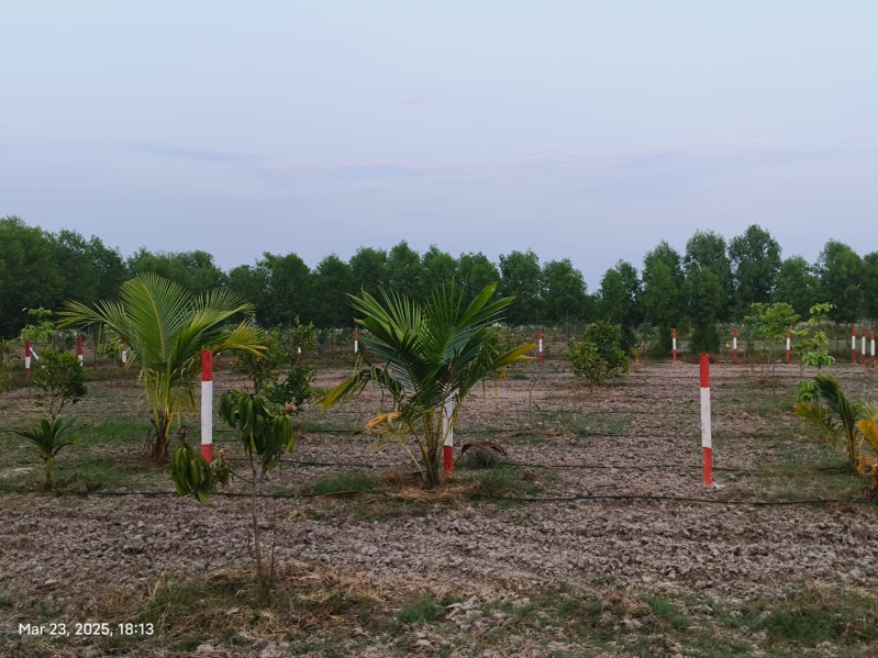  9637 Sq.ft. Residential Plot for Sale in Chengalpet, Chennai