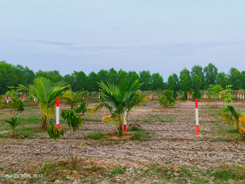  9674 Sq.ft. Agricultural/Farm Land for Sale in Uthramerur, Chennai