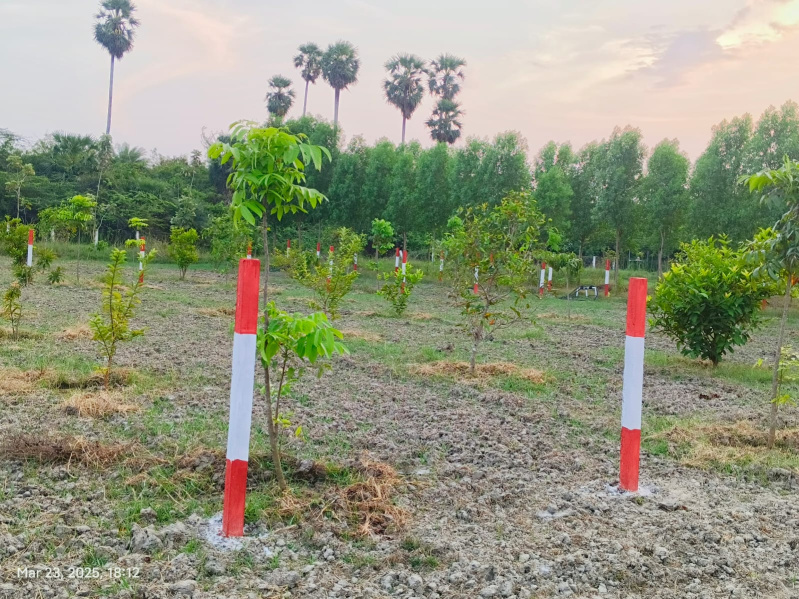  9674 Sq.ft. Agricultural/Farm Land for Sale in Uthramerur, Chennai