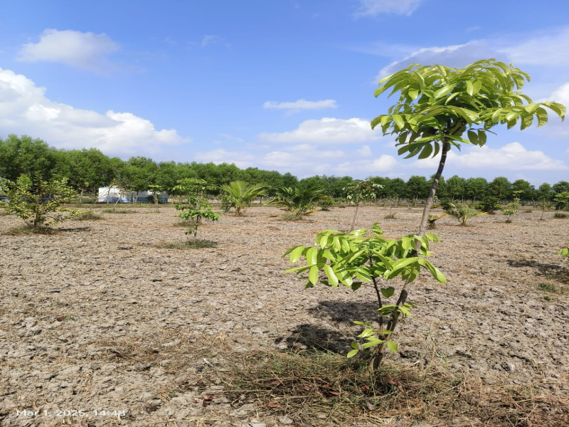  9683 Sq.ft. Agricultural/Farm Land for Sale in Madhurandagam, Chennai