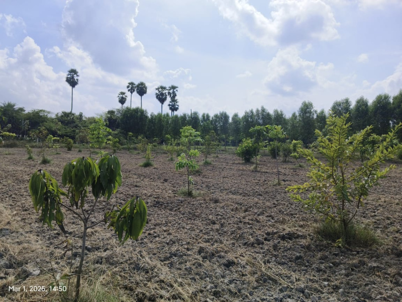  9683 Sq.ft. Agricultural/Farm Land for Sale in Madhurandagam, Chennai
