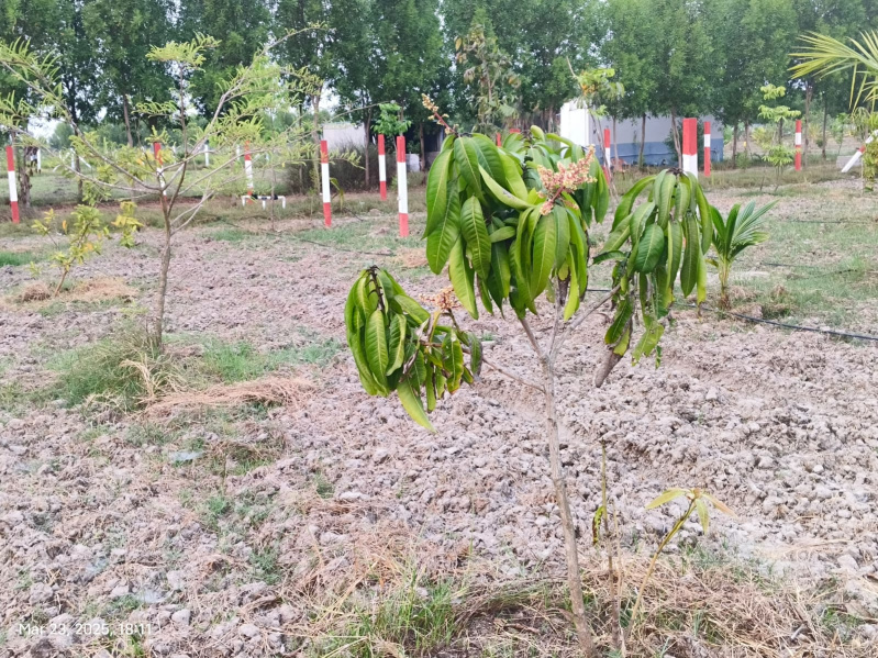  9689 Sq.ft. Agricultural/Farm Land for Sale in Madhurandagam, Chennai