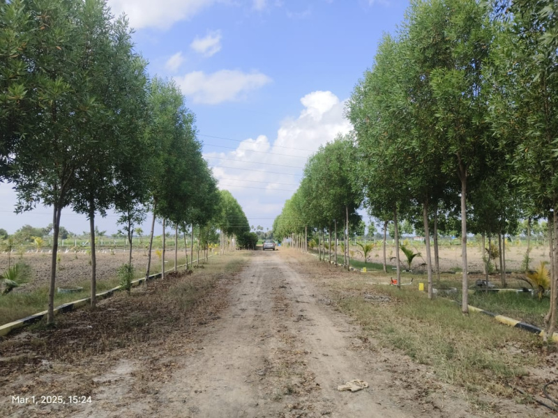  9695 Sq.ft. Agricultural/Farm Land for Sale in Melmaruvathur, Chennai