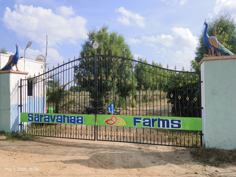  9695 Sq.ft. Agricultural/Farm Land for Sale in Melmaruvathur, Chennai