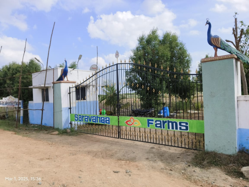  9695 Sq.ft. Agricultural/Farm Land for Sale in Melmaruvathur, Chennai