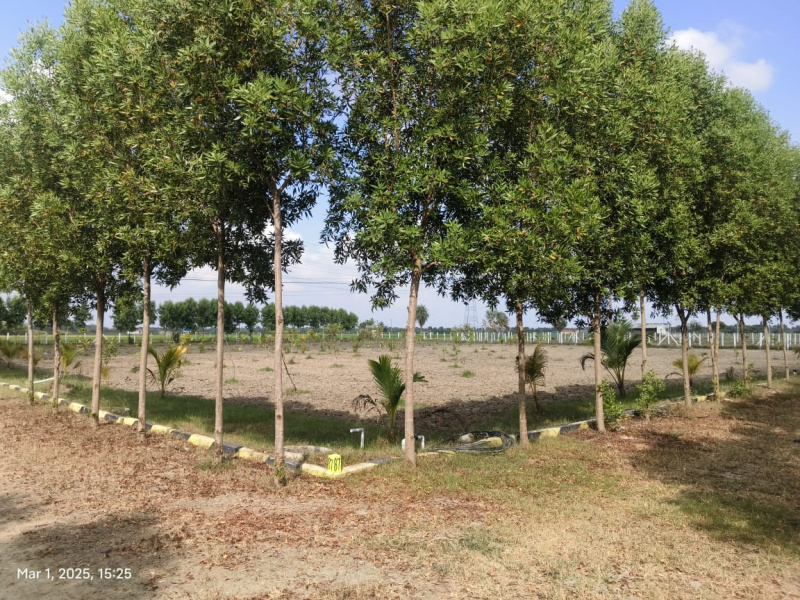  9696 Sq.ft. Agricultural/Farm Land for Sale in Melmaruvathur, Chennai