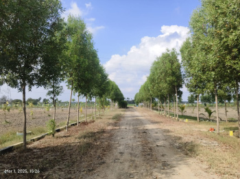  Agricultural Land for Sale in Melmaruvathur, Chennai