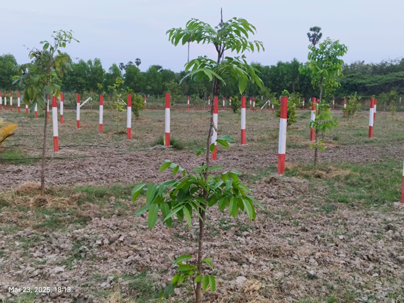  9699 Sq.ft. Agricultural/Farm Land for Sale in Melmaruvathur, Chennai