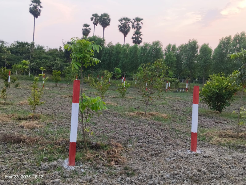  9699 Sq.ft. Agricultural/Farm Land for Sale in Melmaruvathur, Chennai