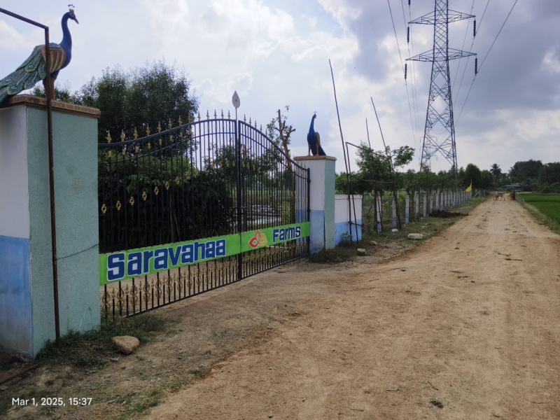  9702 Sq.ft. Agricultural/Farm Land for Sale in Madurantakam, Chennai