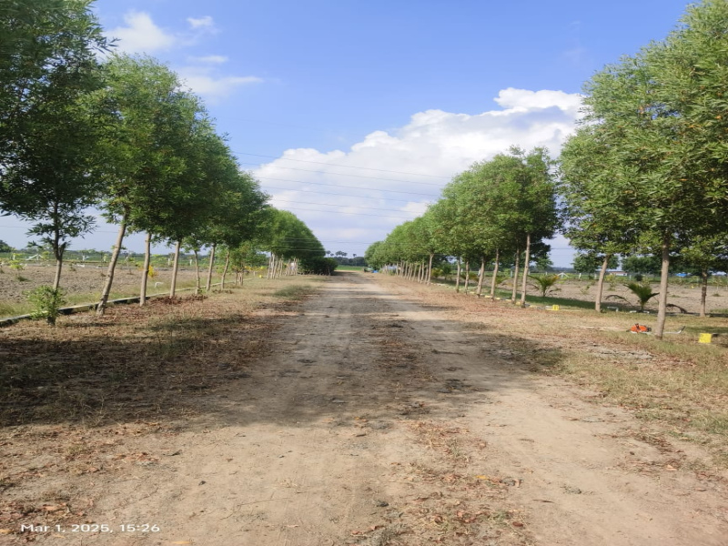  9702 Sq.ft. Agricultural/Farm Land for Sale in Madurantakam, Chennai