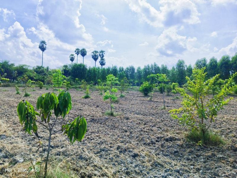  9708 Sq.ft. Agricultural/Farm Land for Sale in Madhurandagam, Chennai