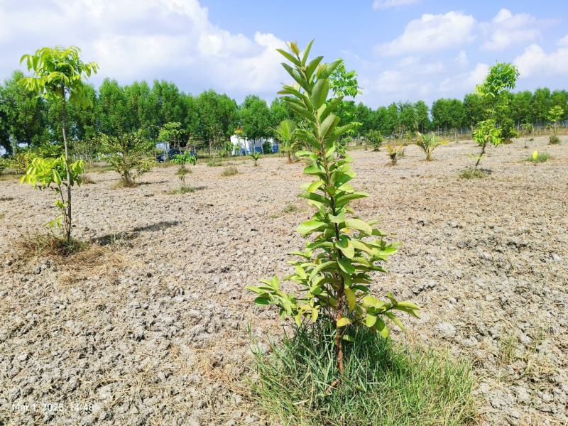  9710 Sq.ft. Agricultural/Farm Land for Sale in Madhurandagam, Chennai