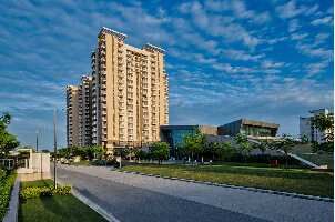 2 BHK Flat for Sale in Sohna, Gurgaon