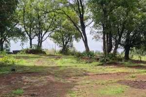  Agricultural Land for Sale in Neral, Raigad