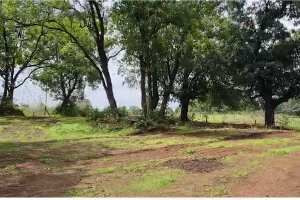  Agricultural Land for Sale in Neral, Raigad