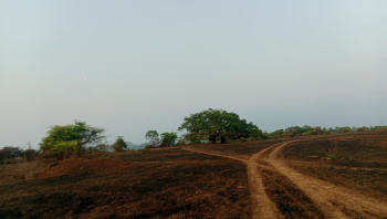  Agricultural Land for Sale in Kudal, Sindhudurg