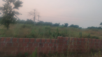  Residential Plot for Sale in Vengurla, Sindhudurg