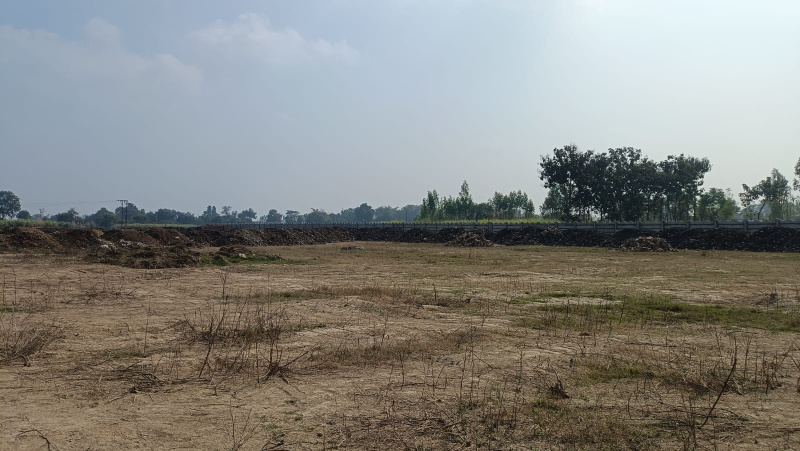  1252 Sq.ft. Residential Plot for Sale in Gangapur, Varanasi