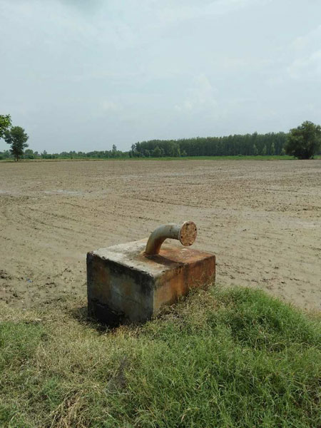 Agricultural Land 4 Ares for Sale in Amaria, Pilibhit