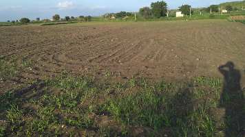  Agricultural Land for Sale in Gargeyapuram, Kurnool