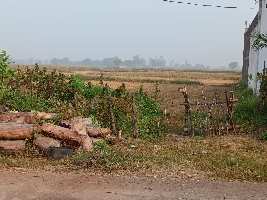 Agricultural Land for Sale in Old Dhamtari Road, Raipur