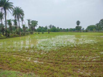  Agricultural Land for Sale in Arang, Raipur