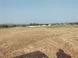  Agricultural Land for Sale in Katol Road, Nagpur