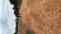 Residential Plot for Sale in Bidadi, Bangalore