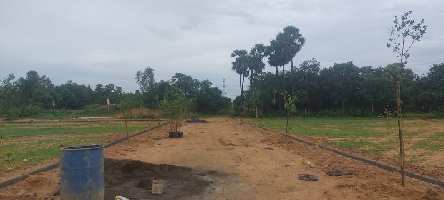  Agricultural Land for Sale in K Kotapadu, Visakhapatnam