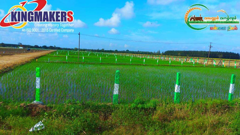  Agricultural Land 10000 Sq.ft. for Sale in Madhurandagam, Chennai