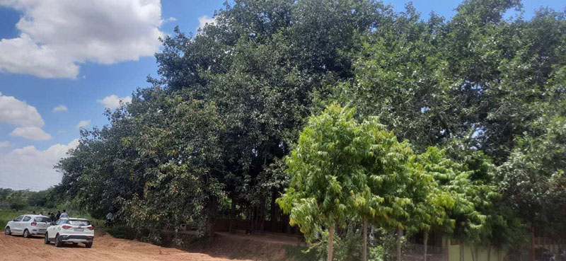  1200 Sq.ft. Residential Plot for Sale in Bihta, Patna
