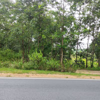  Commercial Land for Rent in Raghunathpur Purulia