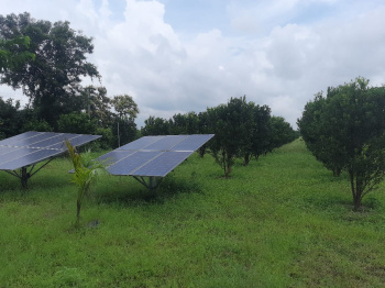  Agricultural Land for Sale in Narkhed, Nagpur