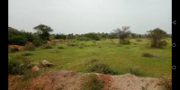  Agricultural Land for Sale in Pavagada, Tumkur